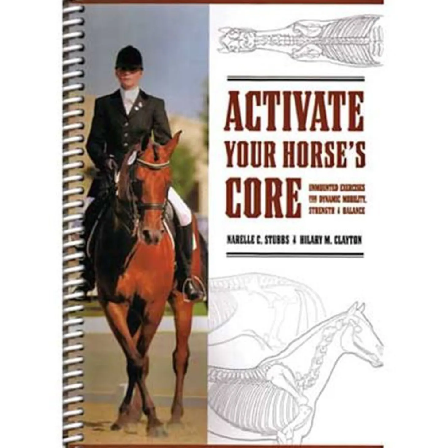 Activate Your Horses Core
