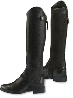 Ariat® Concord Half Chaps