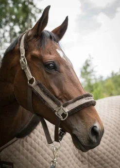 Back on Track® Haze Collection Halter