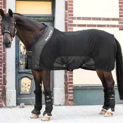 Back on Track® Royal Mesh Deluxe Sheet