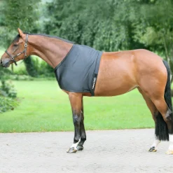Back on Track® Therapeutic Equine Shoulder Guard with Pads