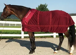 Back on Track® Therapeutic Mesh Horse Sheet