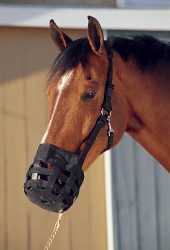Best Friend® All-In-One Grazing Muzzle