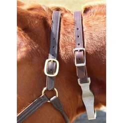 Best Friend® Hinged Cribbing Strap