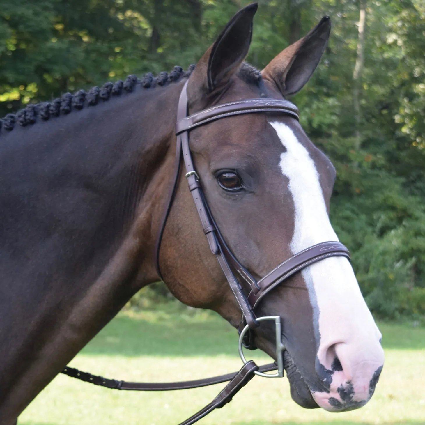 Black Oak Spruce Hunter Bridle