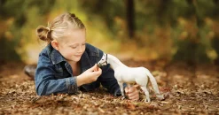 Breyer® Traditional® Snowman