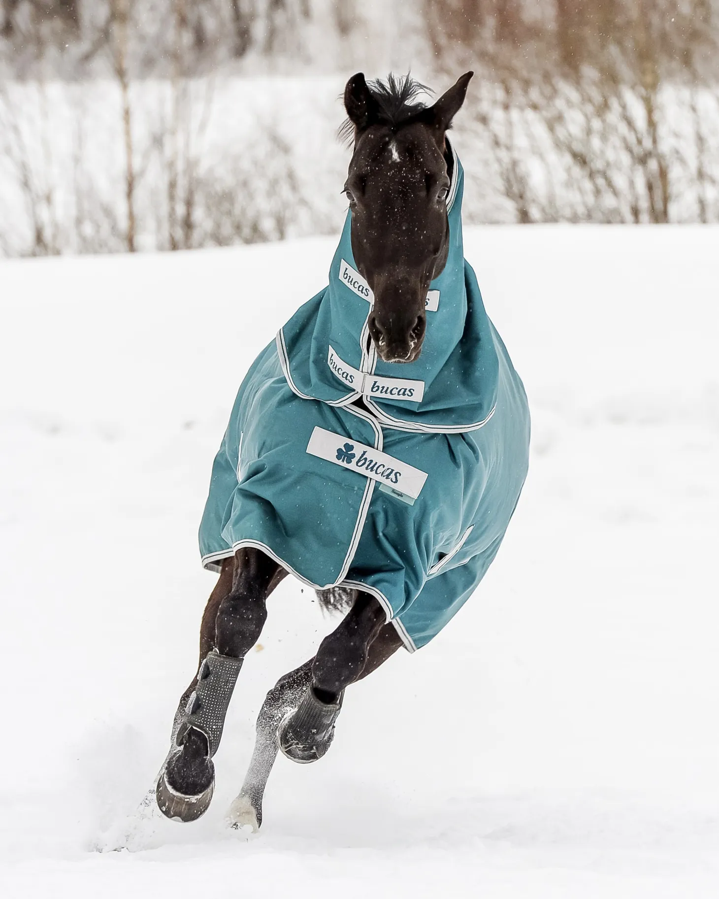 Bucas Atlantic 50 Gram Turnout Blanket