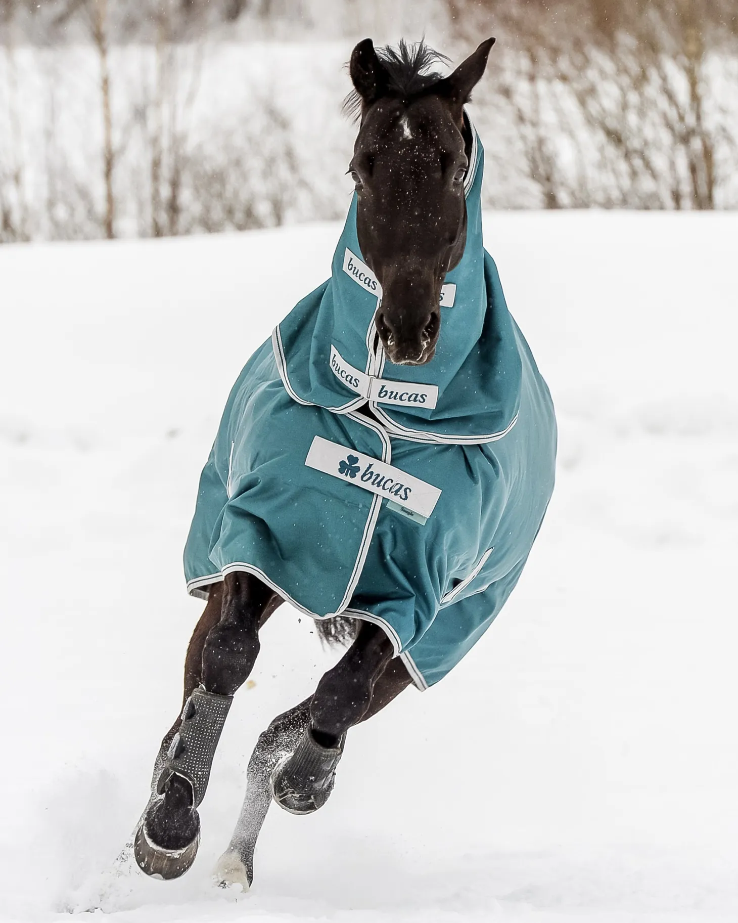 Bucas Atlantic 400 Gram Turnout Blanket