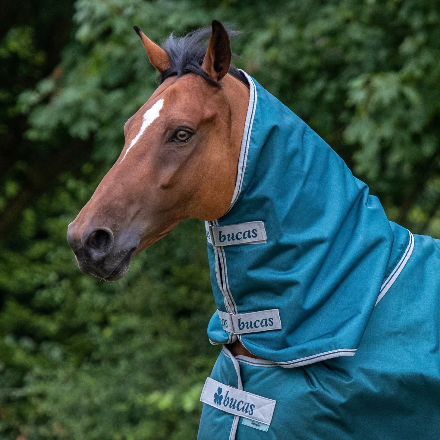 Bucas Atlantic 400 Gram Turnout Blanket