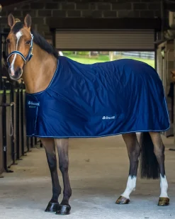 Bucas Shamrock Power Cooler