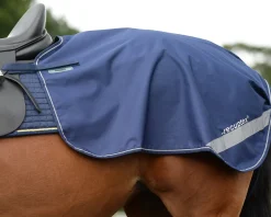 Bucas Therapy Quarter Sheet