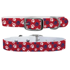 C4 Dog Collar