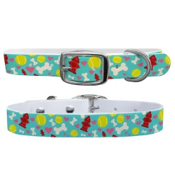 C4 Dog Collar