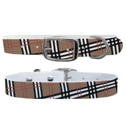 C4 Dog Collar