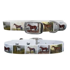 C4 Equine Print Dog Collar