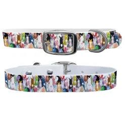 C4 Equine Print Dog Collar