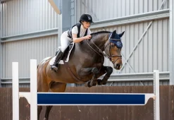 Charles Owen Adults’ Shadow Back Protector