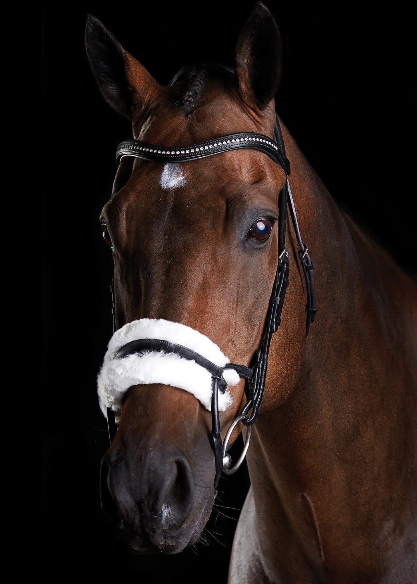 Collegiate® ComFiTec™ Sheepskin Bridle