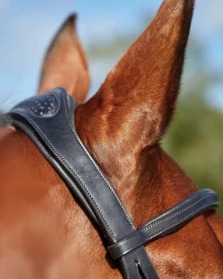 Collegiate® ComFiTec™ Training Bridle