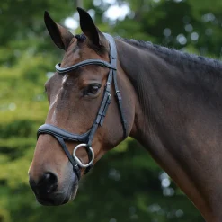 Collegiate® ComFiTec™ Vogue Anatomic Bridle