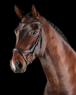 Collegiate® ComFiTec™ Vogue Anatomic Bridle