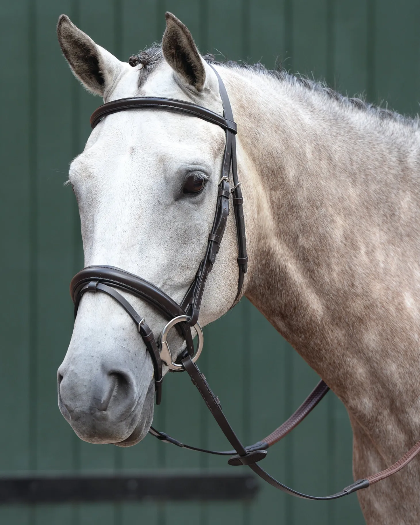 Collegiate® Essential Padded Raised Flash Bridle
