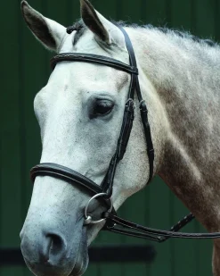 Collegiate® Essential Padded Raised Fancy-Stitched Caveson Bridle