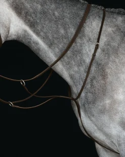 Collegiate® Running Martingale IV