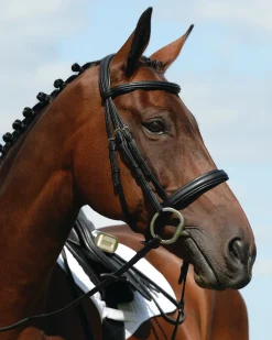 Collegiate® Syntovia+ Padded Raised Caveson Bridle