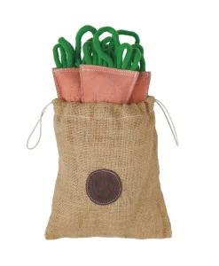 Dover Dog Carrot Bunch Dog Toy