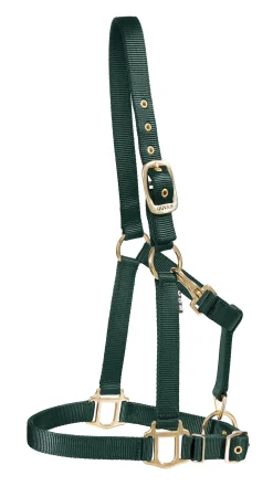 DS Heavy Nylon Halter