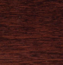 DS Large Hardwood Trunk