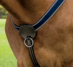 DS 3-Point Breastplate