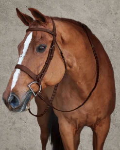 DS Premier Hunt Bridle