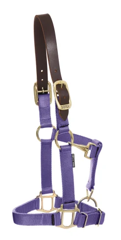 DS Heavy Nylon Breakaway Halter