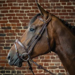 Dy'on® Anatomic Bridle