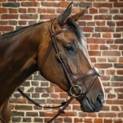 Dy'on® Anatomic Bridle