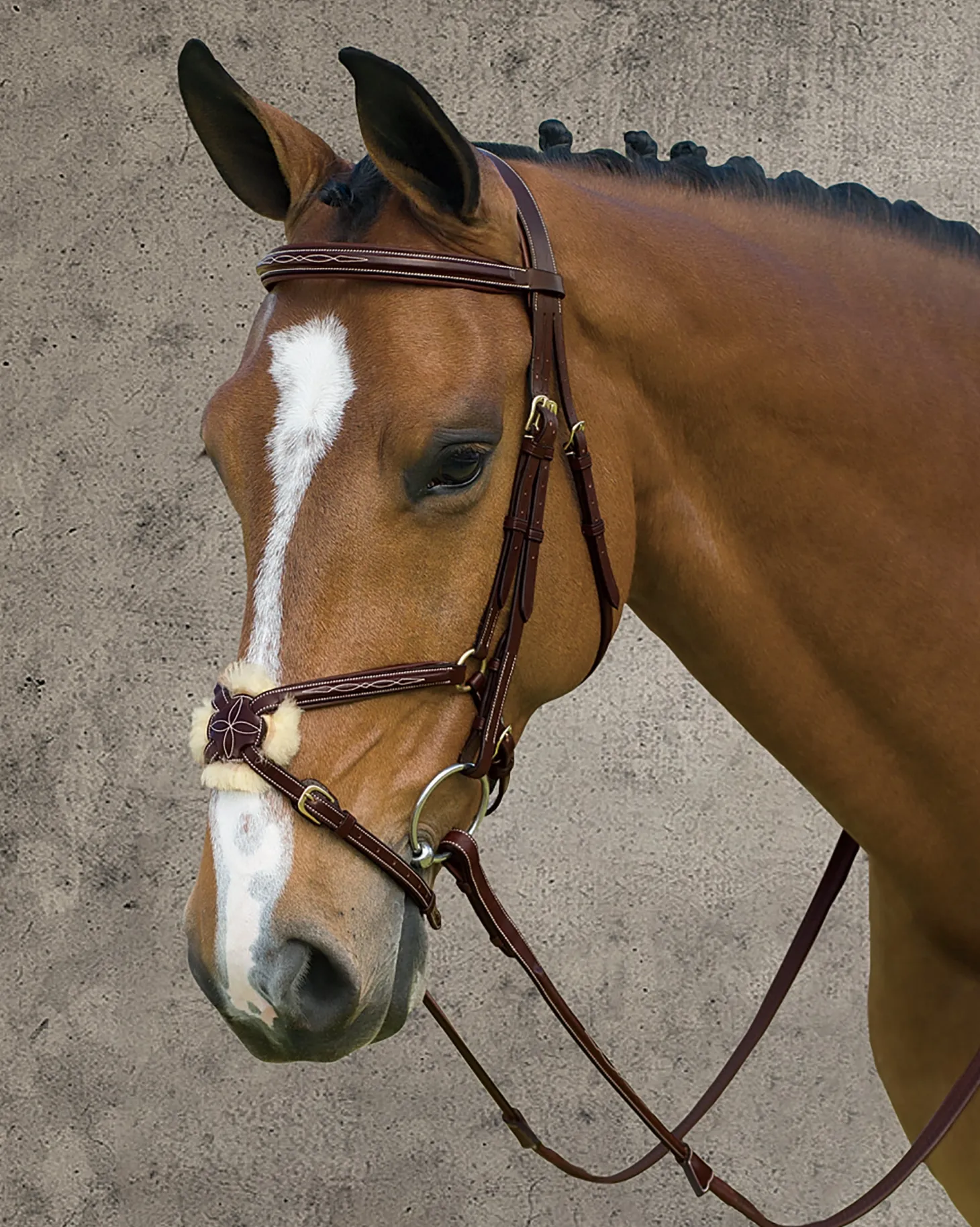 Dy'on® Figure-8 Bridle