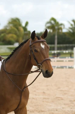 Dy'on® Standing Martingale