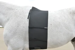 EquiFit® BellyBand™
