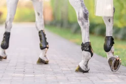 EquiFit® Eq-Teq™ Hind Boots
