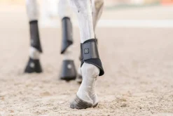 EquiFit® Essential EveryDay Hind Boot
