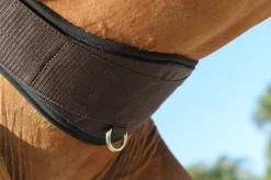 EquiFit® Essential Schooling Girth with SheepsWool™ Liner
