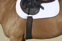 EquiFit® Essential Schooling Girth with SheepsWool™ Liner