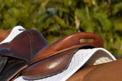 EquiFit® Essential Square Pad