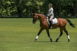 EquiFit® MultiTeq Front Boots