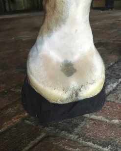 EquiFit® Pack-N-Stick HoofTape