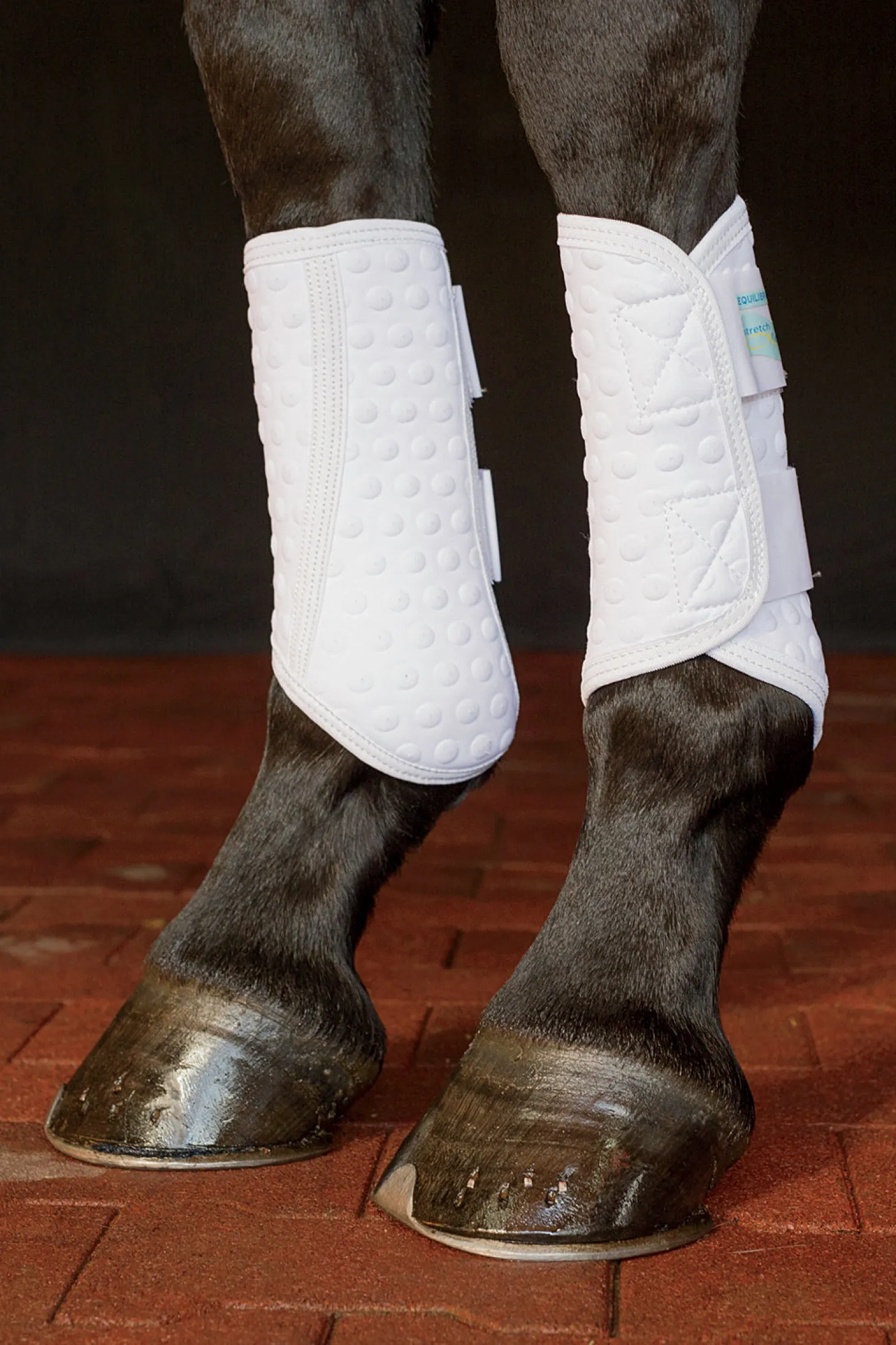Equilibrium Original Stretch & Flex Flatwork Leg Wraps