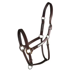 Equilibrium Stellar All-Weather Breakaway Halter