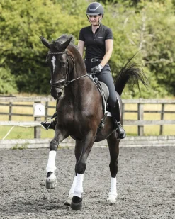 Equilibrium Stretch & Flex Training Wraps